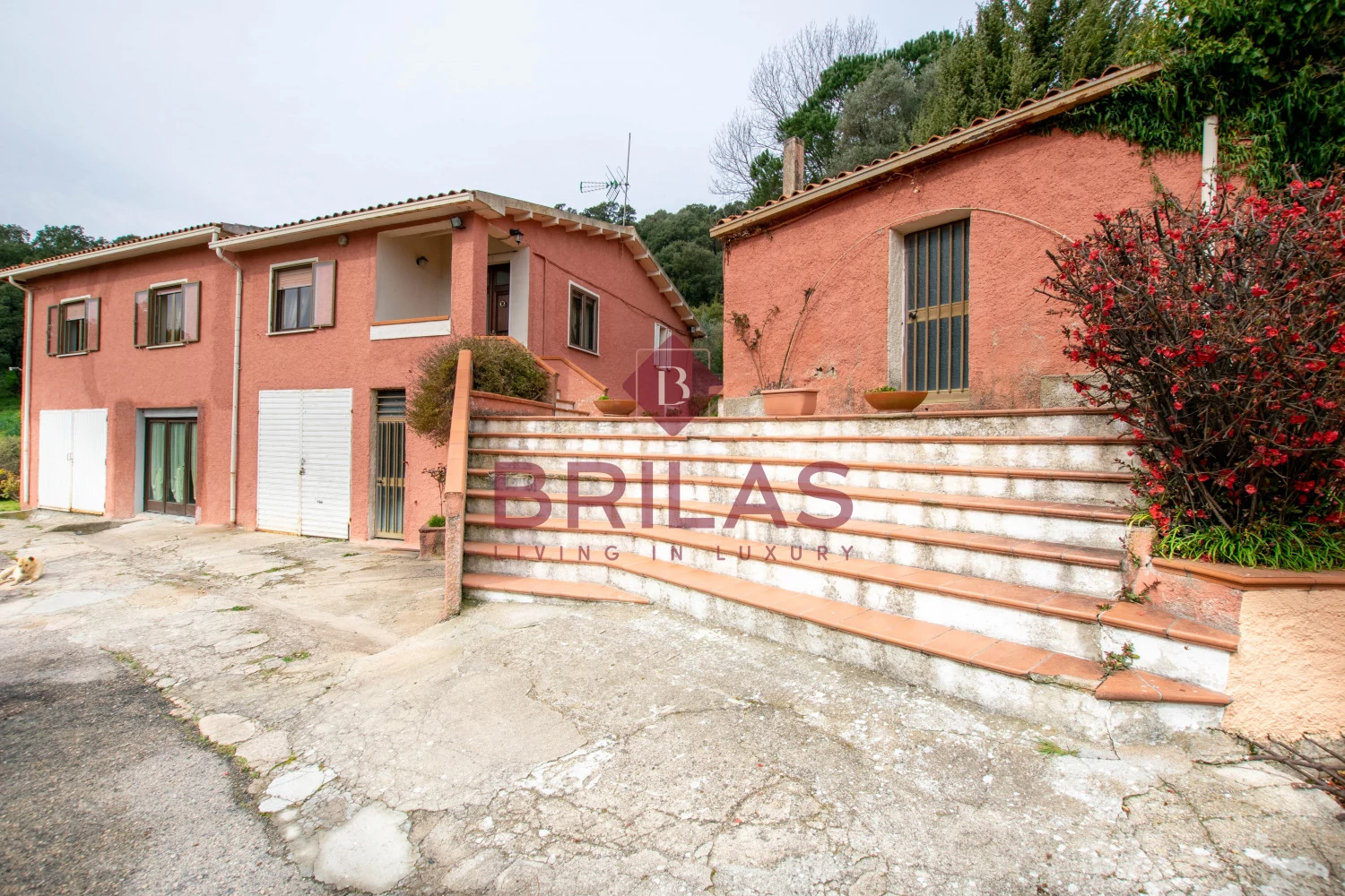 Ampia proprietà con due unità immobiliari a Luras