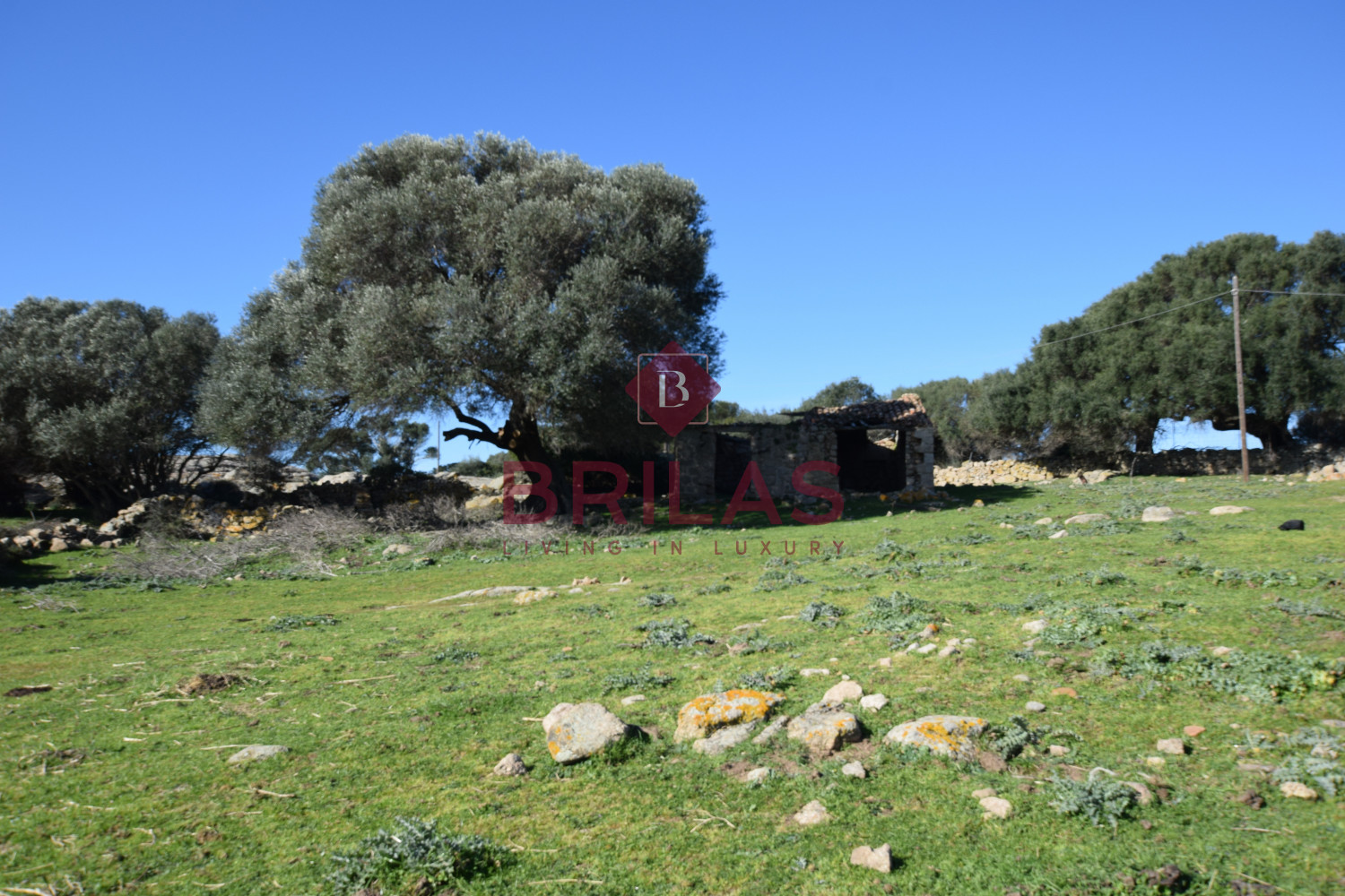 Stazzo da ristrutturare con terreno di 56 ettari