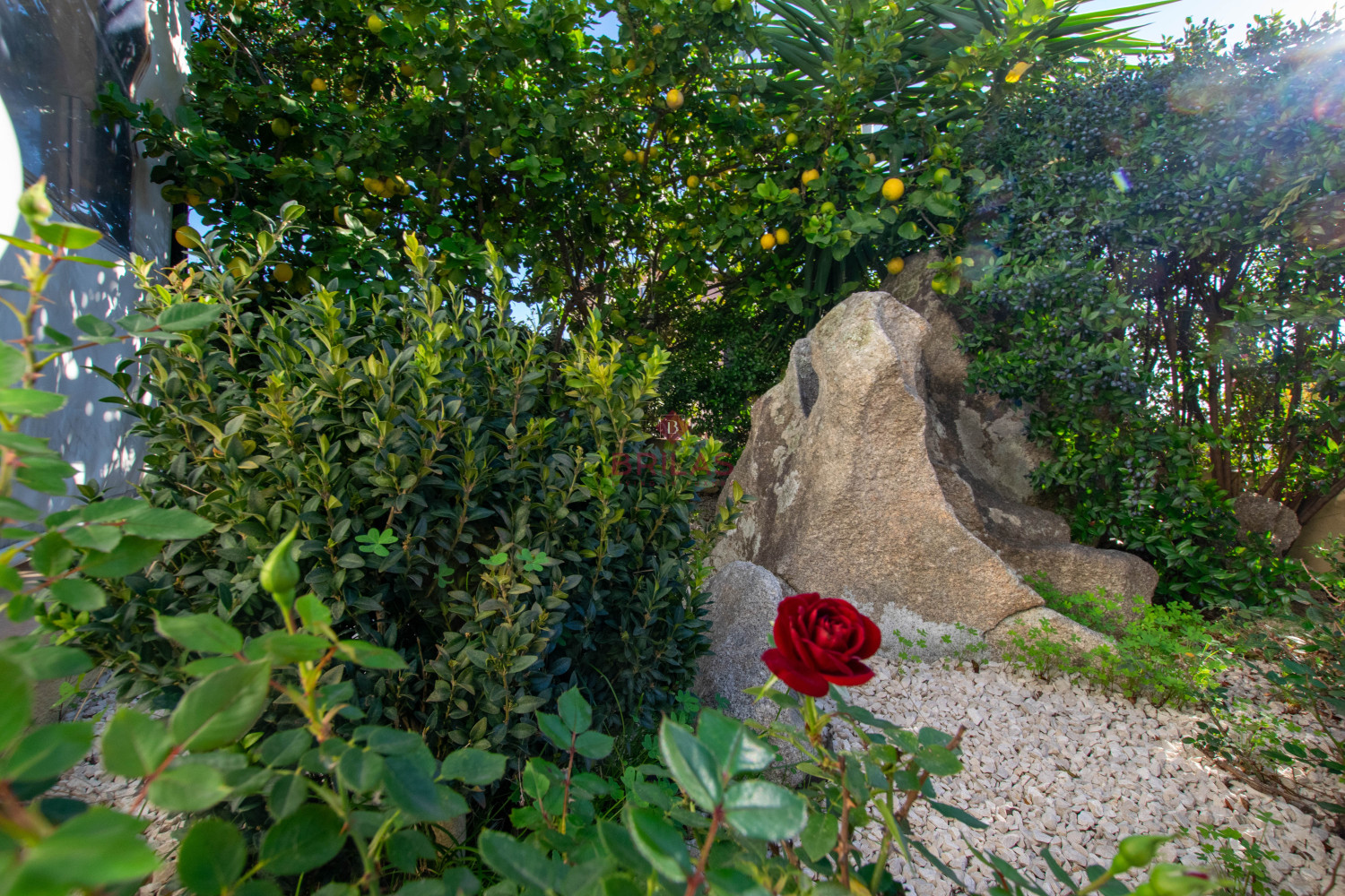 Restaurant for sale in Olbia