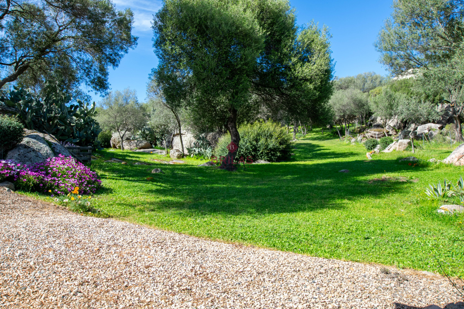 Arzachena: detached villa on one level with panoramic view