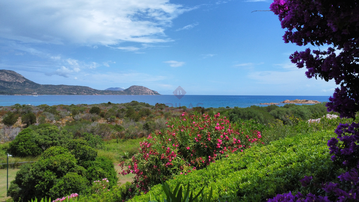 Costa Corallina Appartamento fronte mare