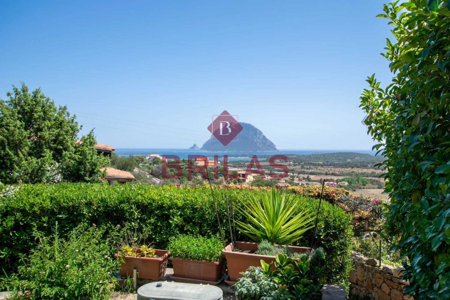 Porto San Paolo - Villa with sea views