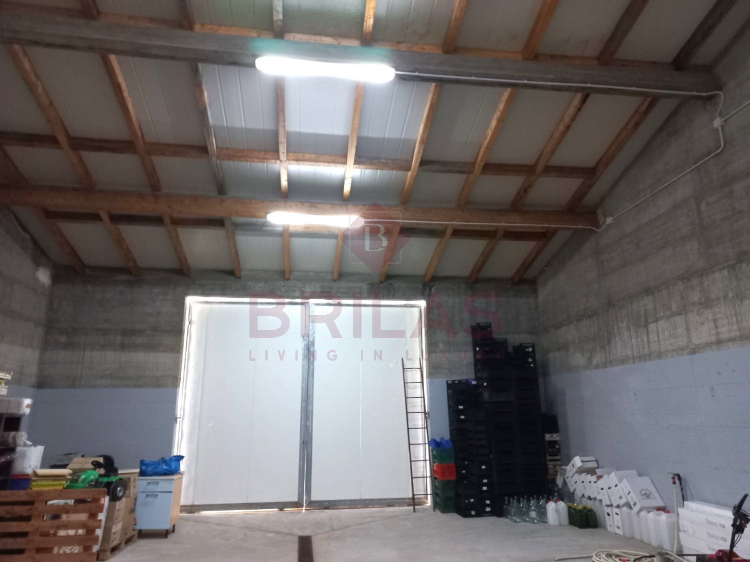 Esclusiva Azienda Vitinicola a Berchidda