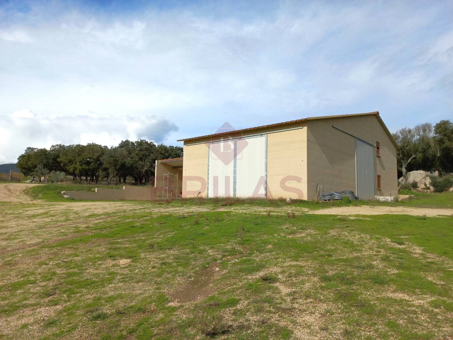 Esclusiva Azienda Vitinicola a Berchidda