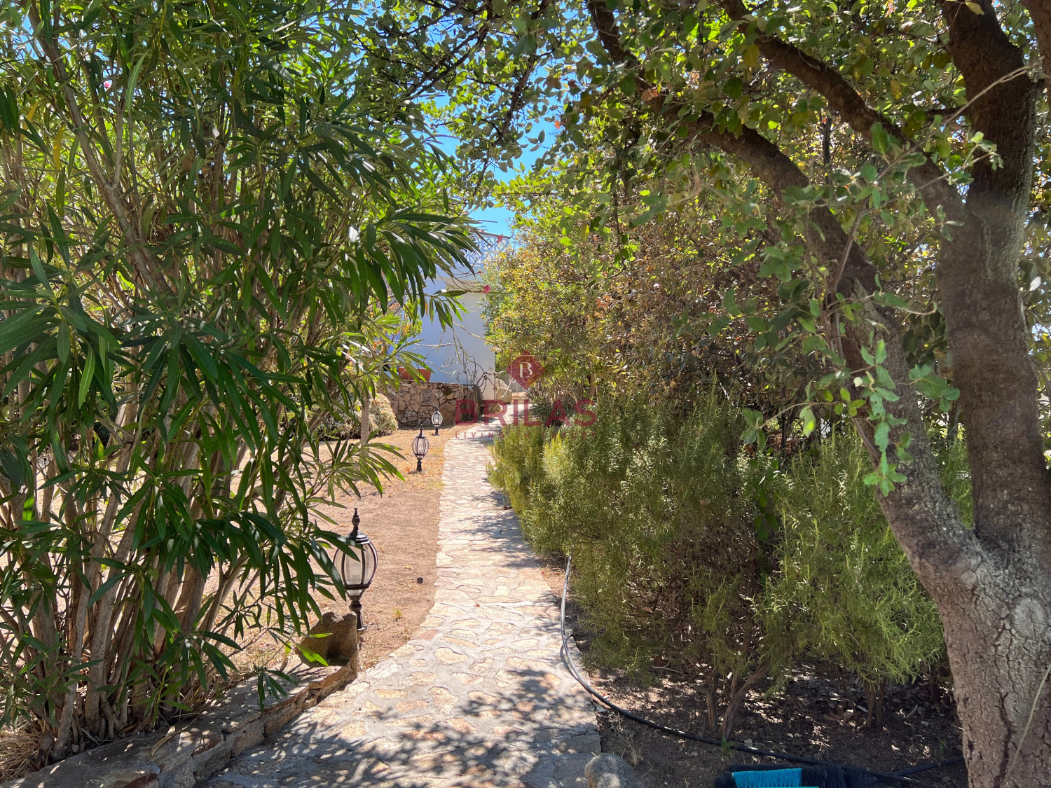 Villa surrounded by greenery with splendid sea views