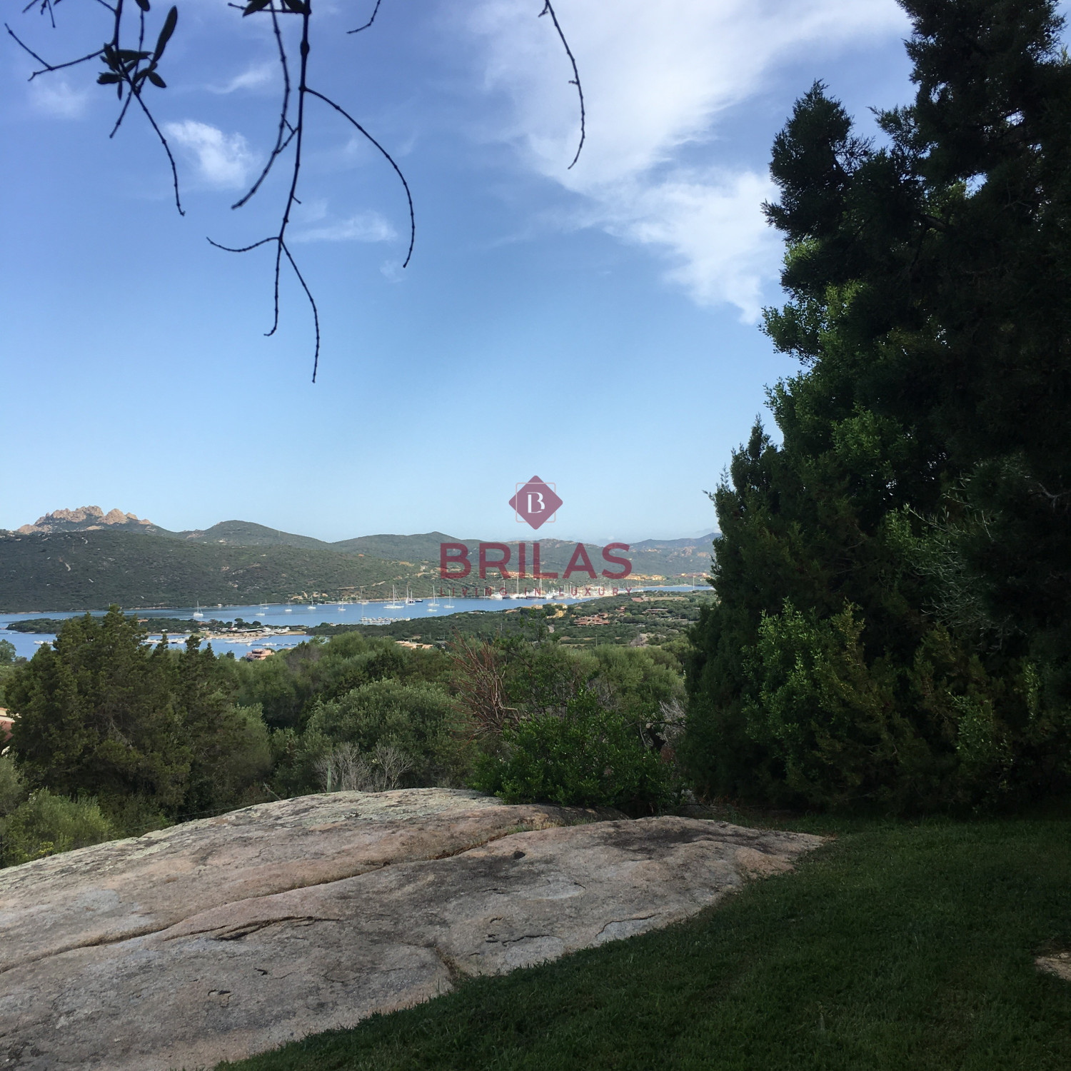 Villa surrounded by greenery with splendid sea views