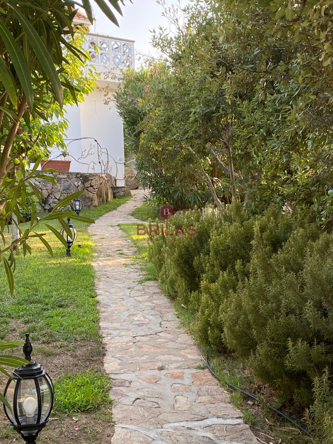Villa surrounded by greenery with splendid sea views