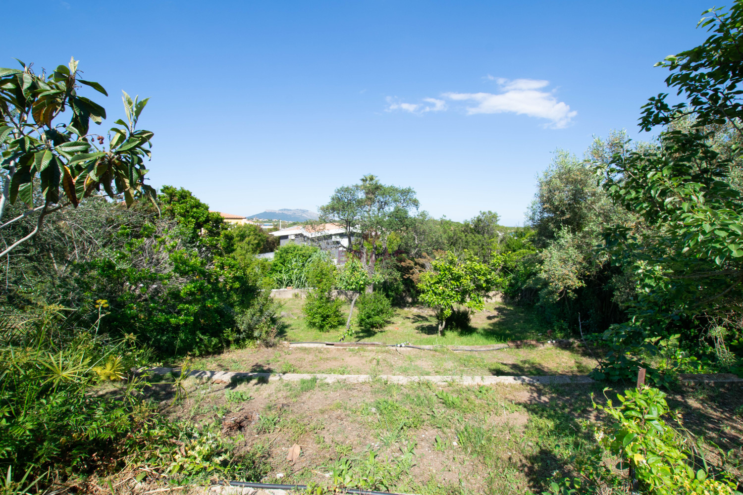 Villa Fronte Mare a Pittulongu (Olbia) - Ottima Posizione con Potenziale di Ristrutturazione