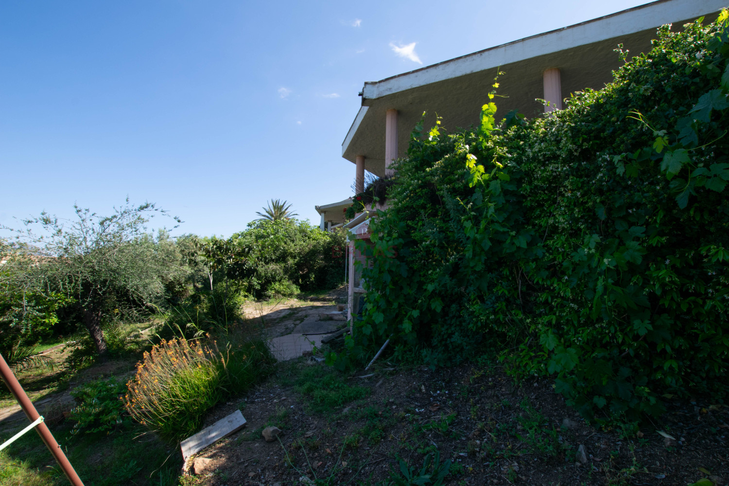 Villa Fronte Mare a Pittulongu (Olbia) - Ottima Posizione con Potenziale di Ristrutturazione