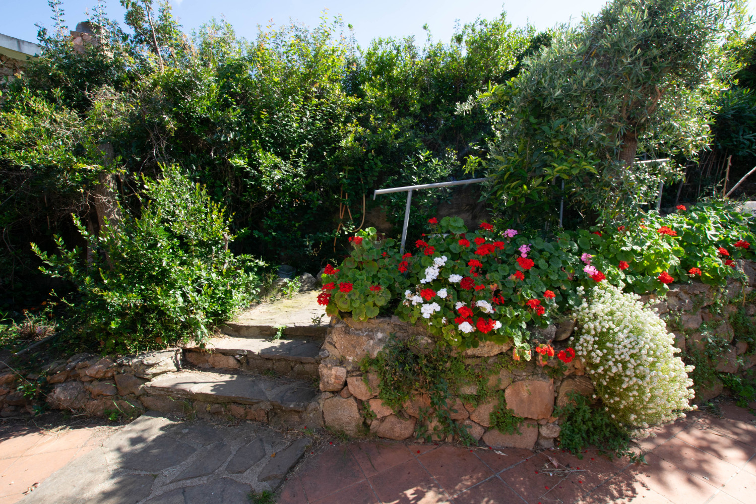 Villa Fronte Mare a Pittulongu (Olbia) - Ottima Posizione con Potenziale di Ristrutturazione