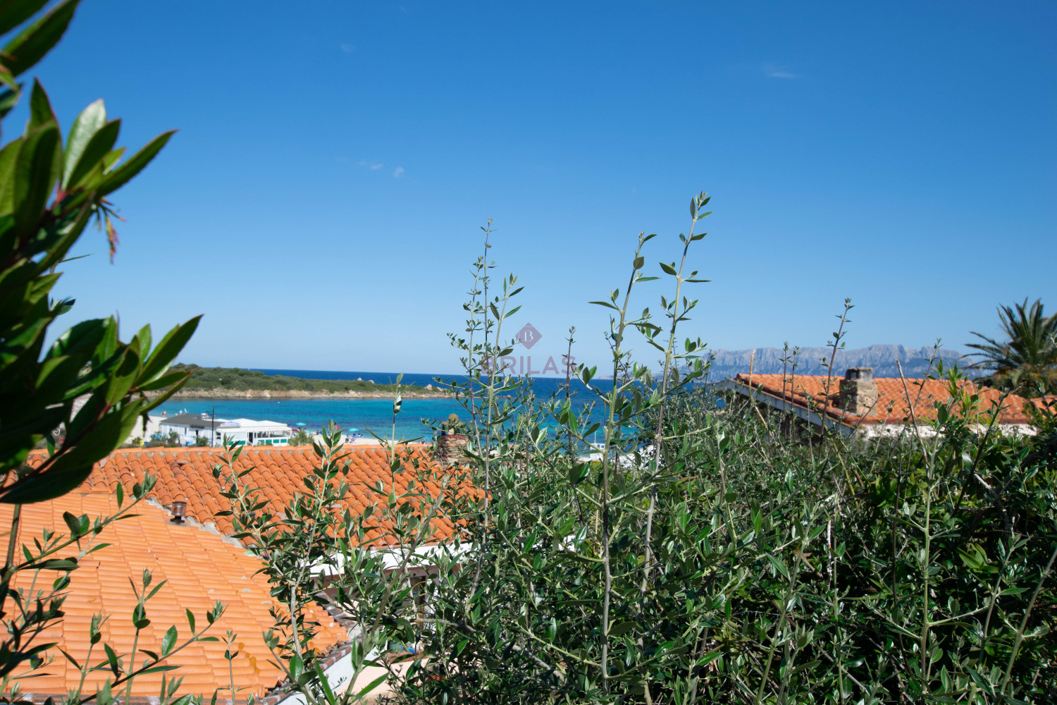 Villa Fronte Mare a Pittulongu (Olbia) - Ottima Posizione con Potenziale di Ristrutturazione
