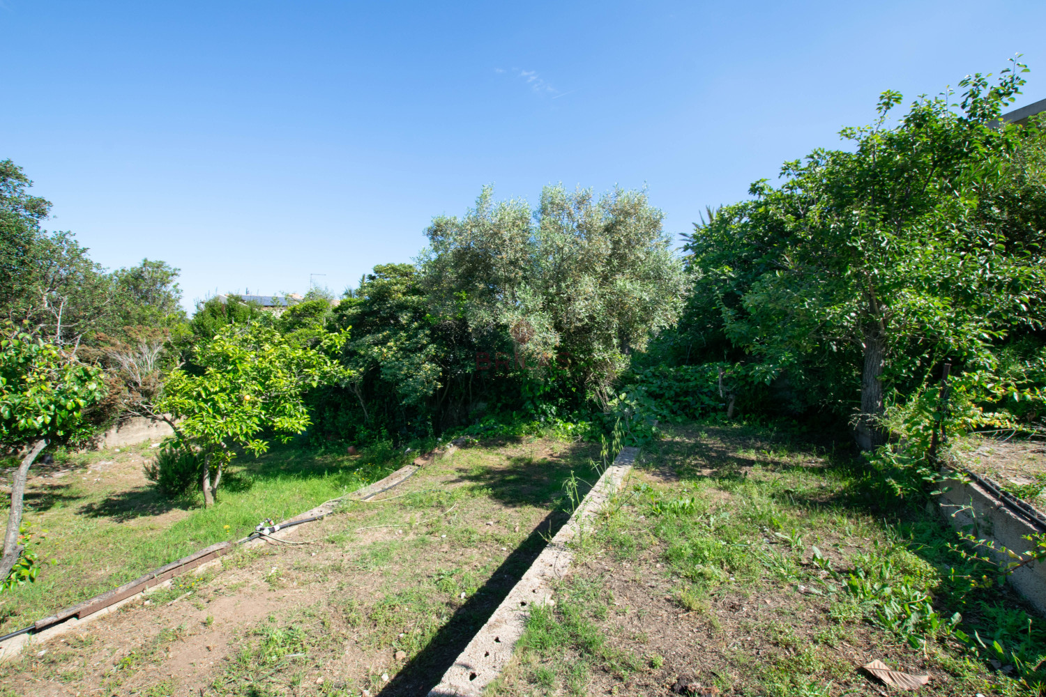 Villa Fronte Mare a Pittulongu (Olbia) - Ottima Posizione con Potenziale di Ristrutturazione