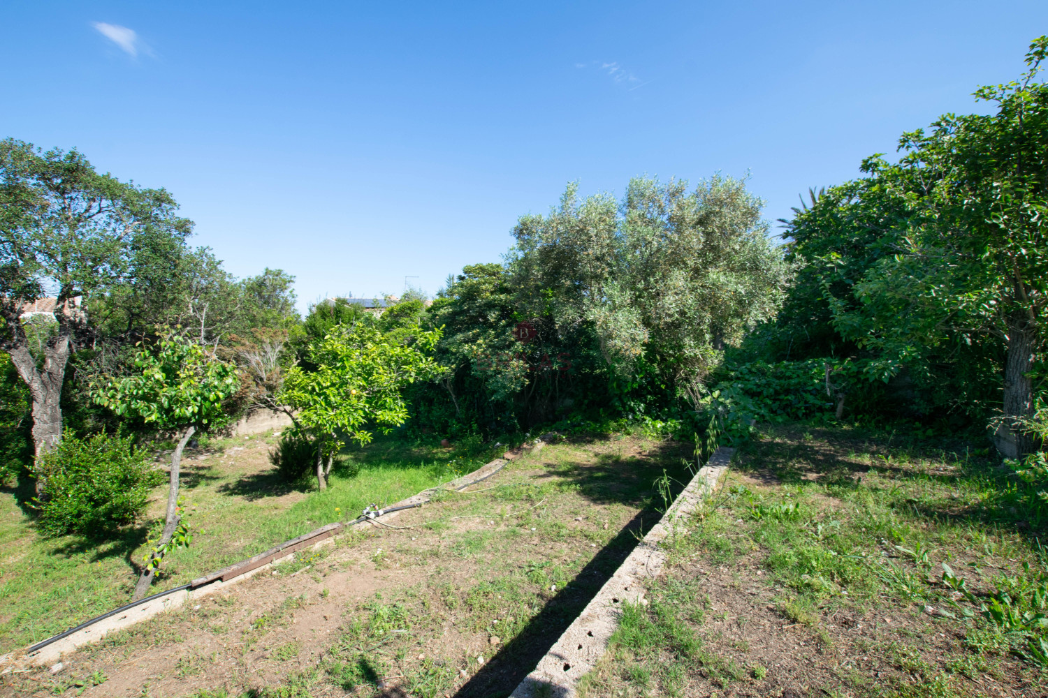 Villa Fronte Mare a Pittulongu (Olbia) - Ottima Posizione con Potenziale di Ristrutturazione