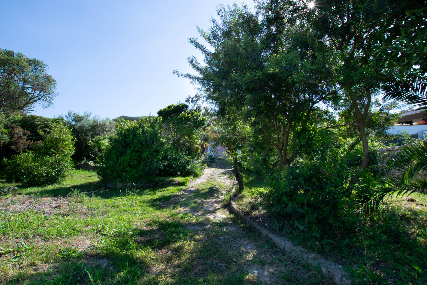 Villa Fronte Mare a Pittulongu (Olbia) - Ottima Posizione con Potenziale di Ristrutturazione