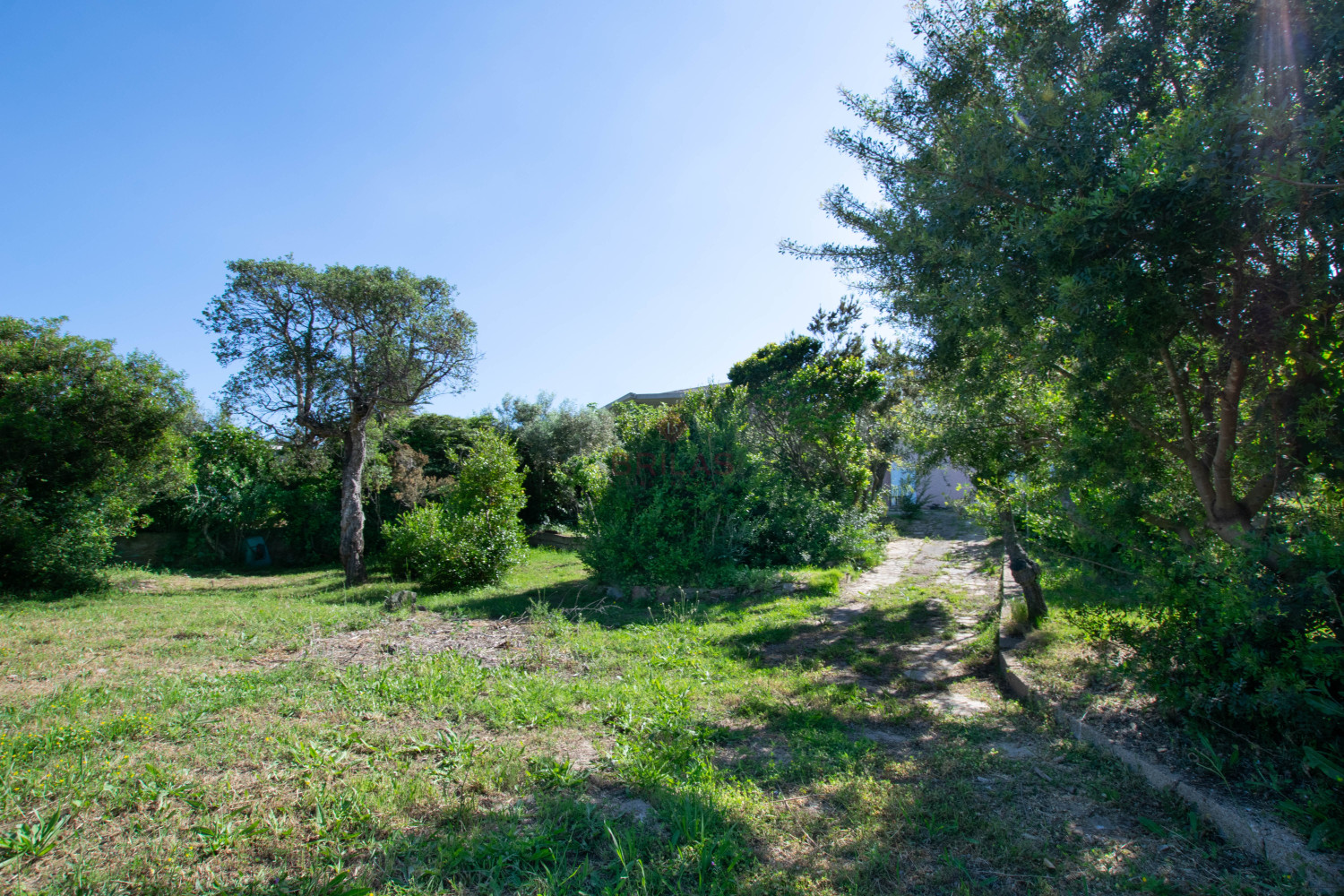 Villa Fronte Mare a Pittulongu (Olbia) - Ottima Posizione con Potenziale di Ristrutturazione