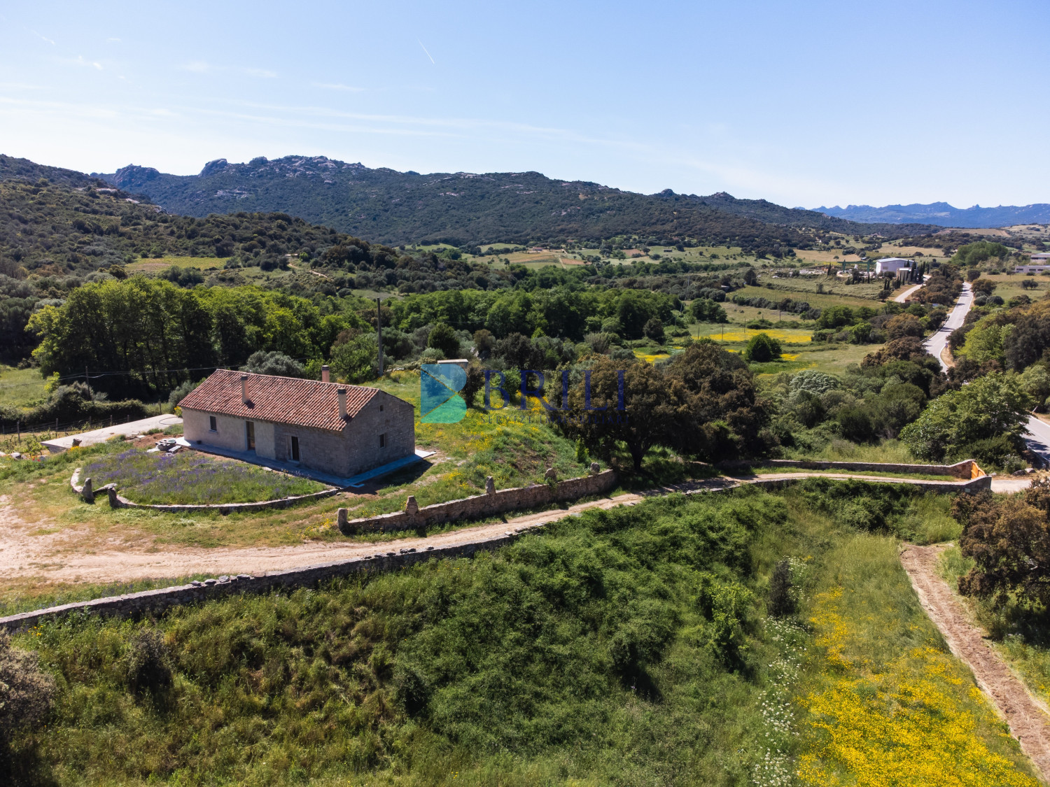 Azienda Agricola di Prestigio con Vigneti e Sugherete