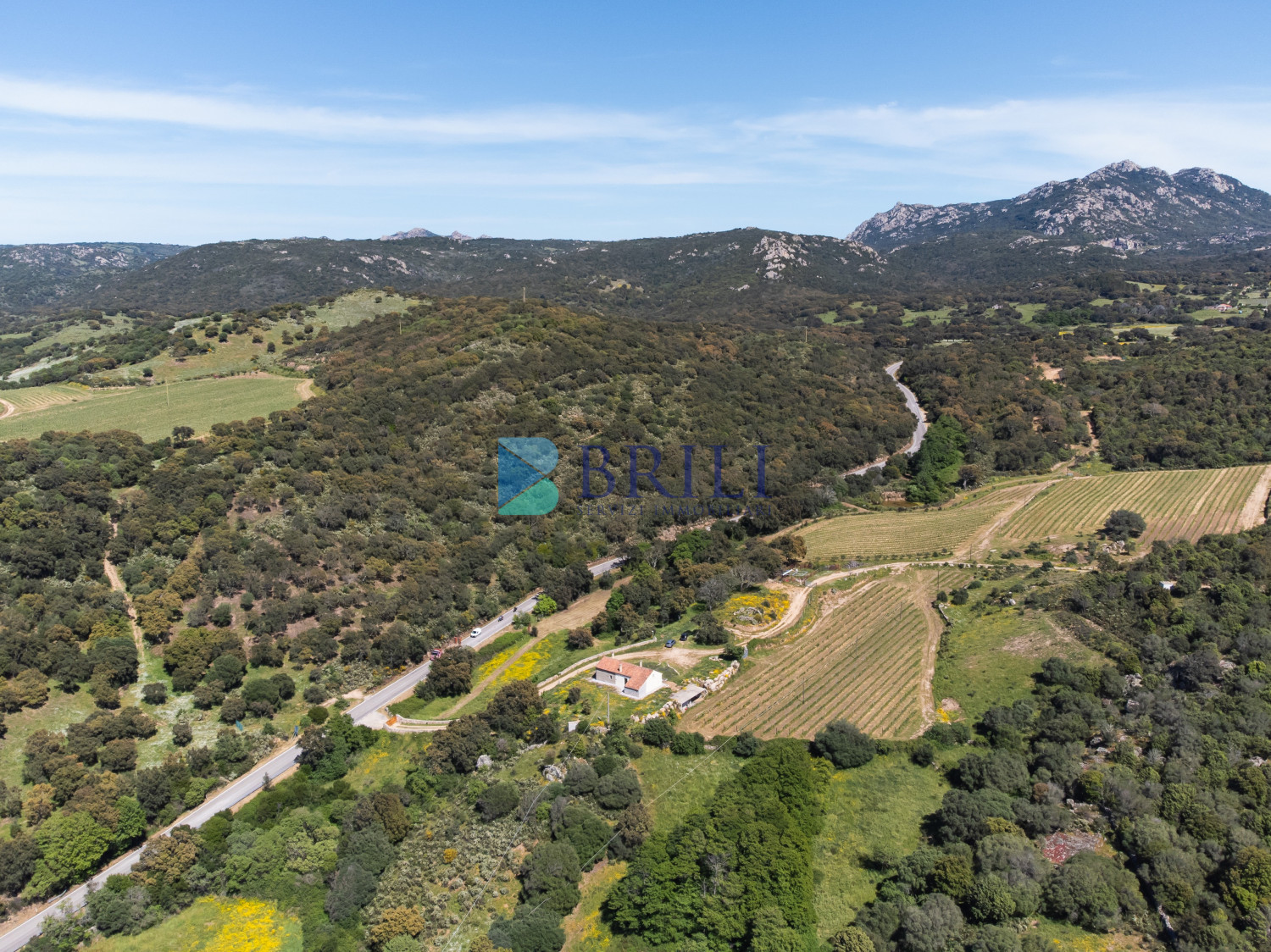Azienda Agricola di Prestigio con Vigneti e Sugherete