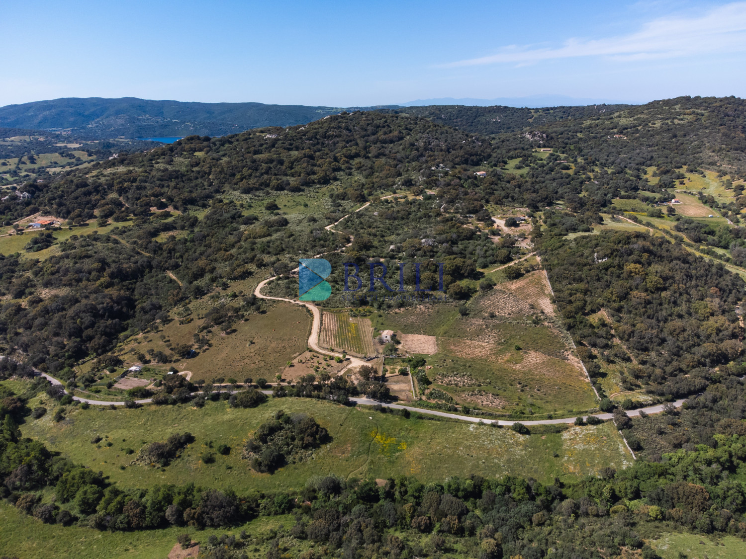 Azienda Agricola di Prestigio con Vigneti e Sugherete