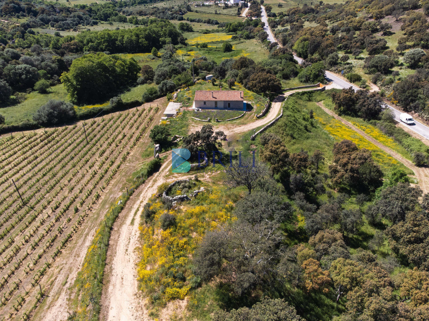 Azienda Agricola di Prestigio con Vigneti e Sugherete