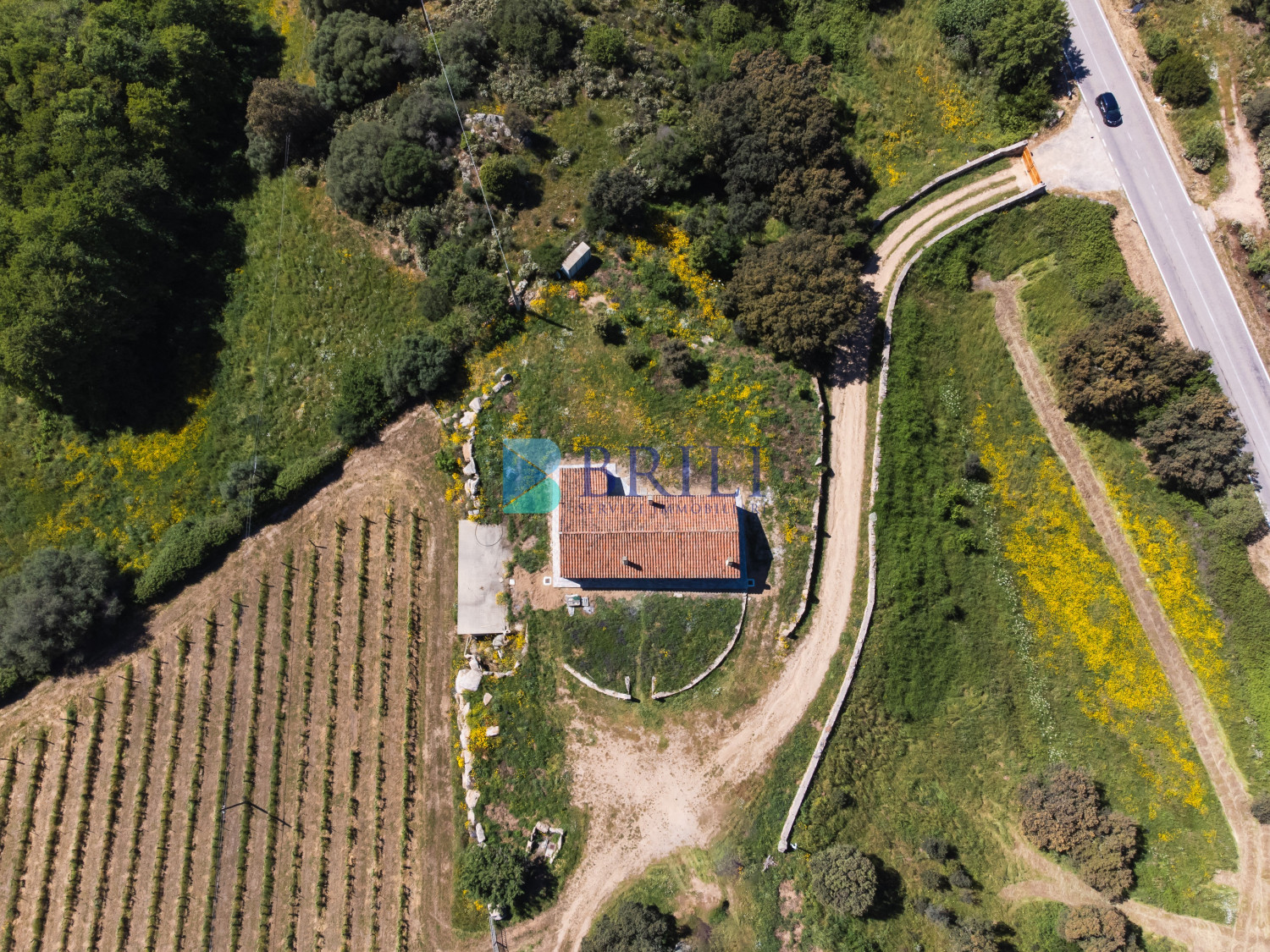 Azienda Agricola di Prestigio con Vigneti e Sugherete