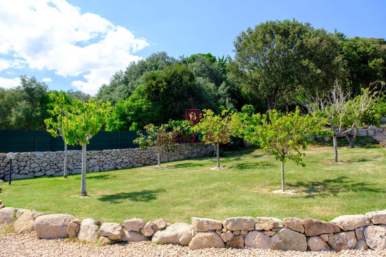 Elegance and Nature in Telti