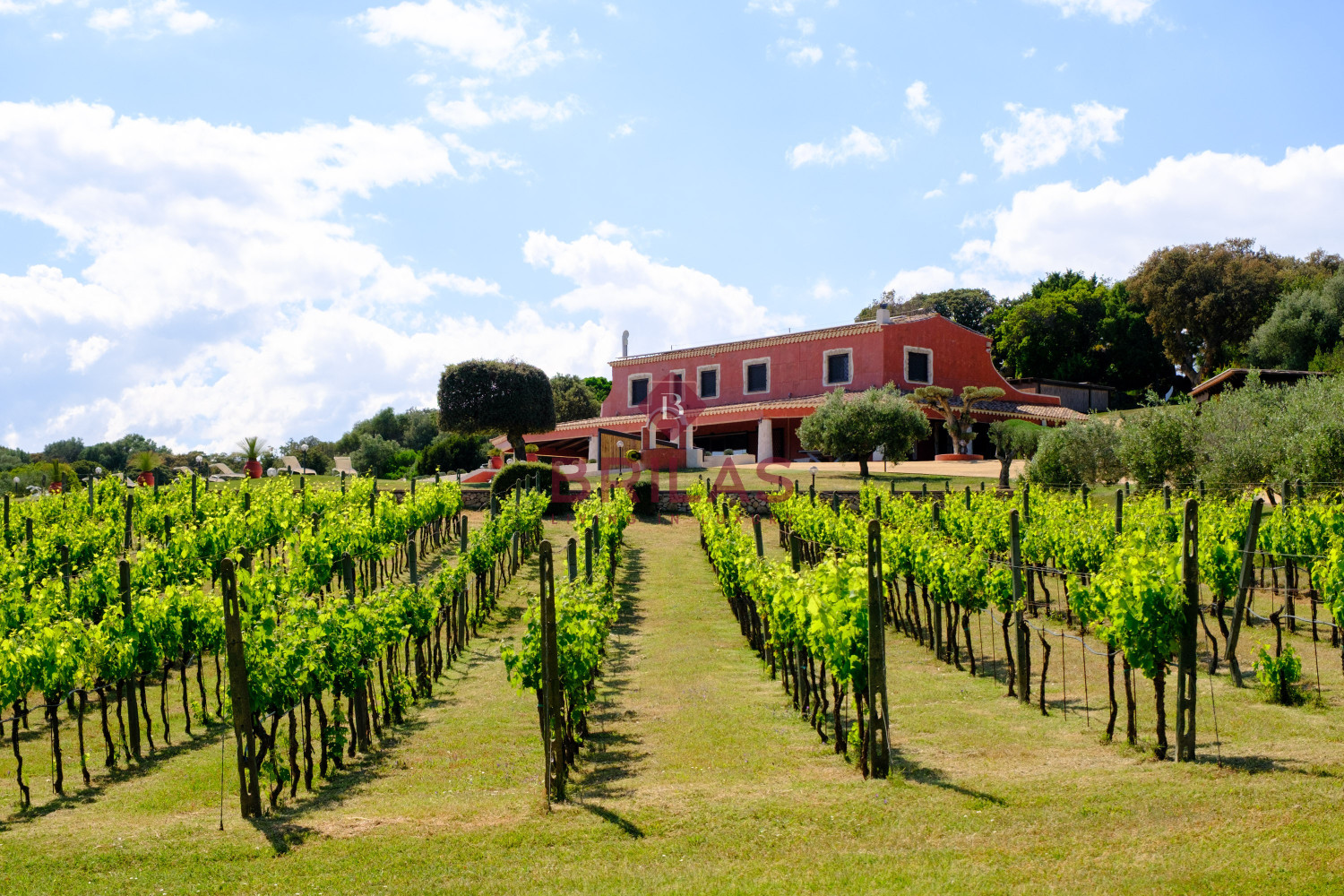 Elegance and Nature in Telti