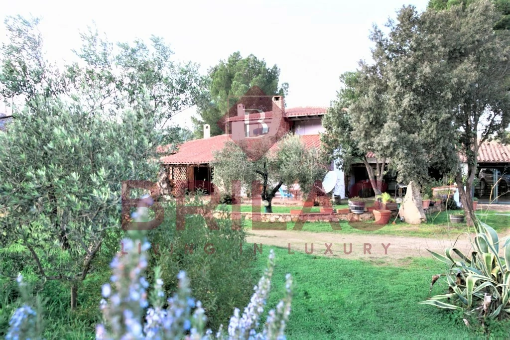 Rustic villa surrounded by Mediterranean scrub