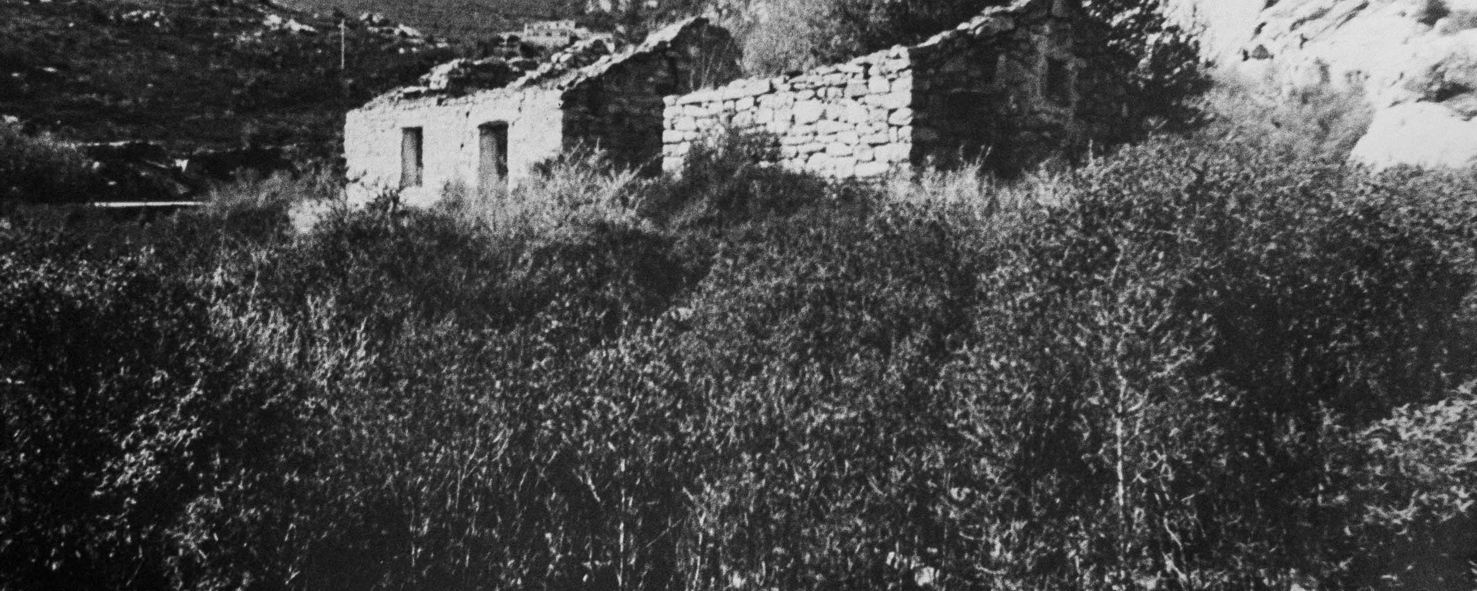 Villa Cri Cri - Stazzo Gallurese in San Pantaleo