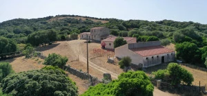 Farm with typical Gallura building
