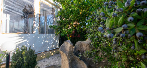 Restaurant for sale in Olbia