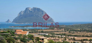 Porto San Paolo - Villa with sea views