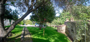 Stazzo ristrutturato a San Pantaleo