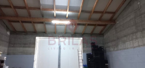 Esclusiva Azienda Vitinicola a Berchidda