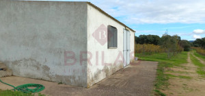 Esclusiva Azienda Vitinicola a Berchidda