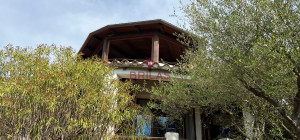 Villa surrounded by greenery with splendid sea views