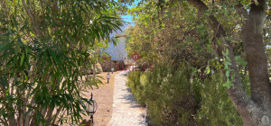 Villa surrounded by greenery with splendid sea views