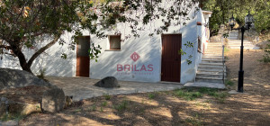Villa surrounded by greenery with splendid sea views