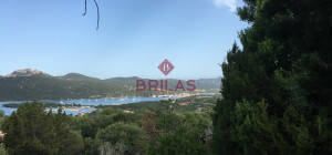 Villa surrounded by greenery with splendid sea views