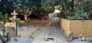 Villa surrounded by greenery with splendid sea views