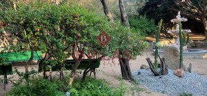 Villa surrounded by greenery with splendid sea views