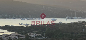 Villa surrounded by greenery with splendid sea views
