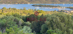 Villa surrounded by greenery with splendid sea views