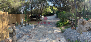 Villa surrounded by greenery with splendid sea views