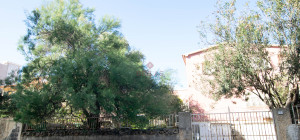 Golfo Aranci: Large villa to renovate between two beaches