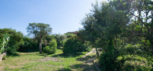 Villa Fronte Mare a Pittulongu (Olbia) - Ottima Posizione con Potenziale di Ristrutturazione