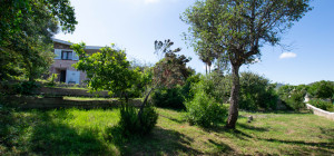 Villa Fronte Mare a Pittulongu (Olbia) - Ottima Posizione con Potenziale di Ristrutturazione
