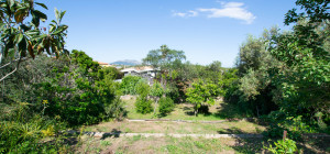 Villa Fronte Mare a Pittulongu (Olbia) - Ottima Posizione con Potenziale di Ristrutturazione