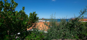 Villa Fronte Mare a Pittulongu (Olbia) - Ottima Posizione con Potenziale di Ristrutturazione