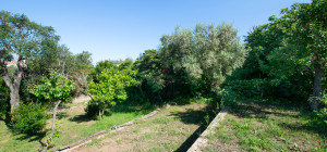 Villa Fronte Mare a Pittulongu (Olbia) - Ottima Posizione con Potenziale di Ristrutturazione