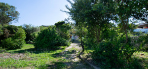 Villa Fronte Mare a Pittulongu (Olbia) - Ottima Posizione con Potenziale di Ristrutturazione